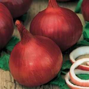 Onion california red (Organic seeds) $3.50
