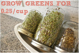 Green Broccoli (NZ) seeds:  Bulk 1kg or 3kg