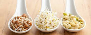 Why are sprouts so good for you?