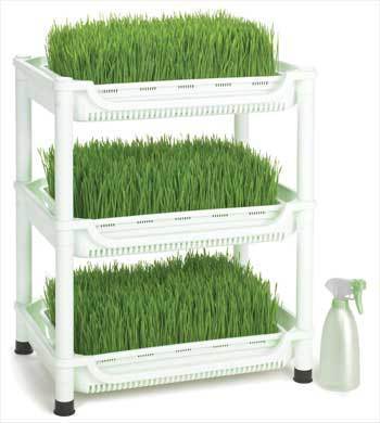 Wheatgrass grower parts