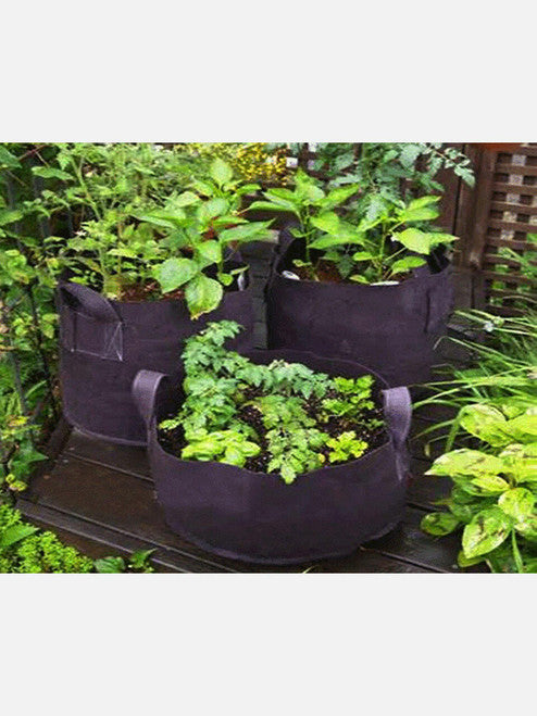 Planter Eco Grow bag
