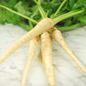 Parsnip hollow crown $3.50