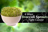 Green Broccoli organic seeds: 100gm or 600gm