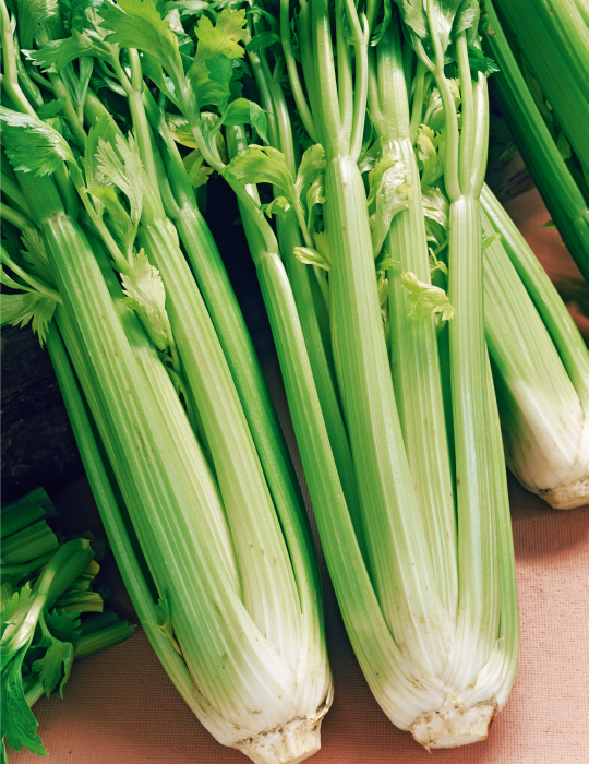 Celery (Utah) seeds $3.50