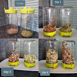 Complete sprouting kit: 3 Sprout jars with free seeds and instructions