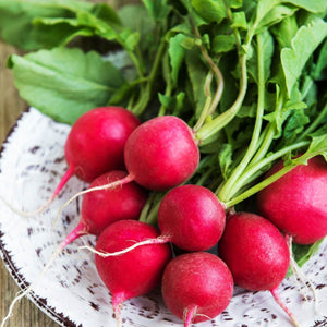 Radish: Champion (Organic seeds) $3.50