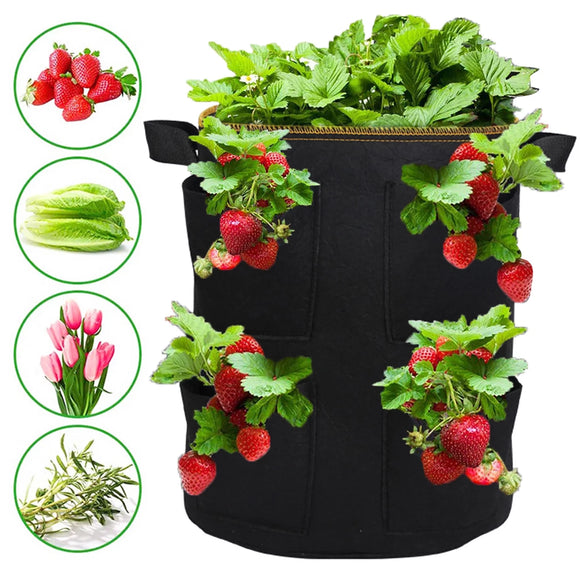 Strawberry Planter Eco Grow bag