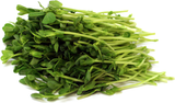 Seeds - Pea, for sprouting.  3kg or 5kg