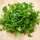 Cress (Organic) seeds.  100gm