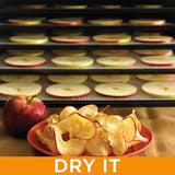 Stainless 9tray Excalibur Dehydrator. NZ distributor