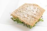 Hemp mats for microgreens or wheatgrass.  Set of 10
