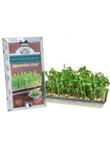 Microgreen tray