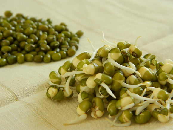 Mung Bean (ORGANIC)  1kg