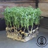 Pea seeds:  Sprouting or microgreens.  1kg.