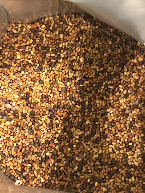 Seeds - Tasty Combo (Alfalfa, Broccoli, Chia, Cress, Kohlrab) ORGANIC 100gm or 600gm