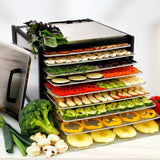 Stainless 9tray Excalibur Dehydrator. NZ distributor